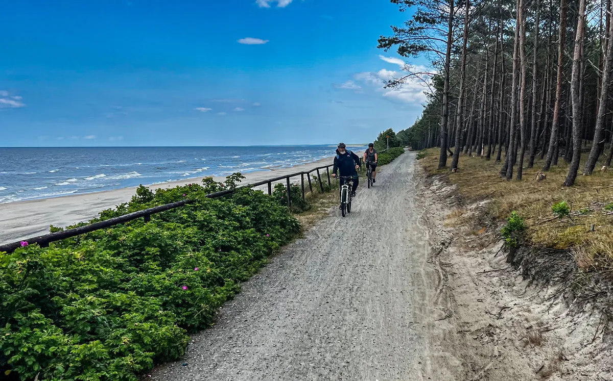 Dzika trasa Mierzei Wiślanej